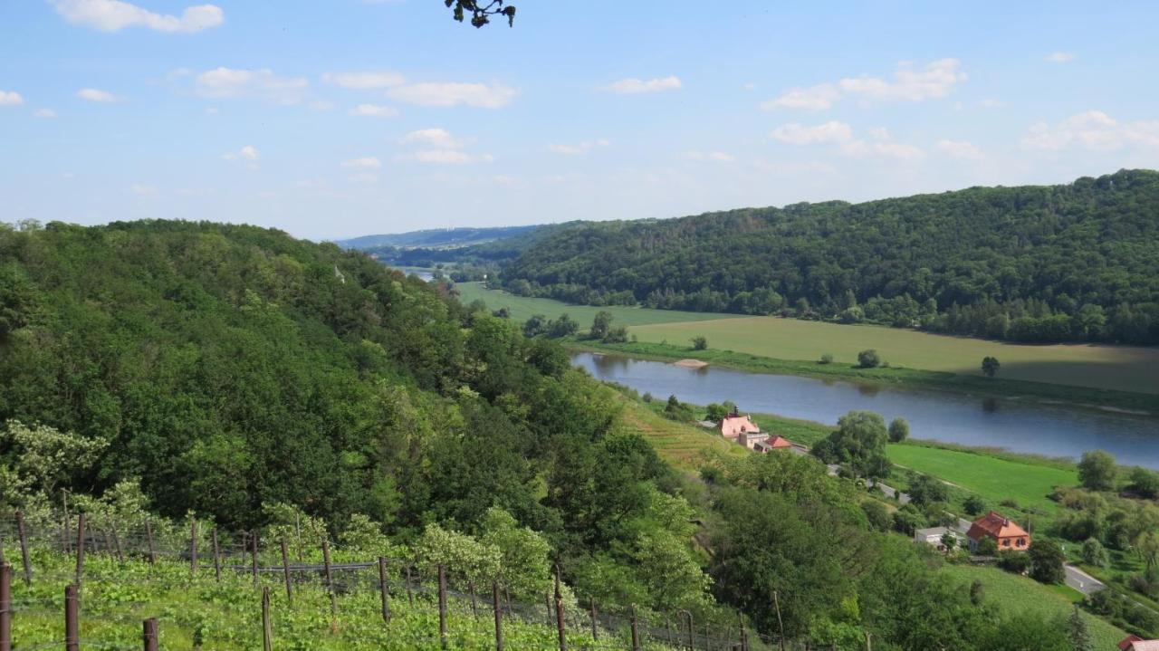Ferienhaus Elbsommer am Weinberg II Meißen Exterior foto